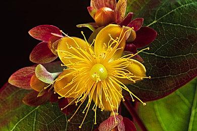 《漫威争锋》开发者谈开发 神秘博士的传送功能最苦逼